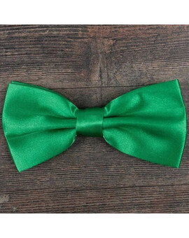 Прокат бабочки зеленого цвета для мужских костюмов, изображение 1